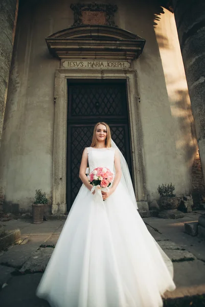 Splendido romantico gentile elegante bella sposa caucasica sullo sfondo antico castello barocco — Foto Stock