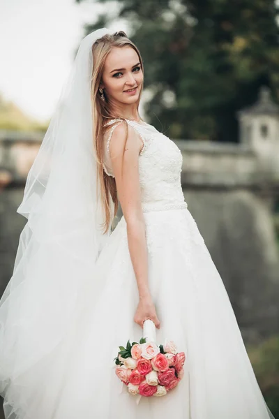 Gorgeous romantic gentle stylish beautiful caucasian bride on the background ancient baroque castle — Stock Photo, Image