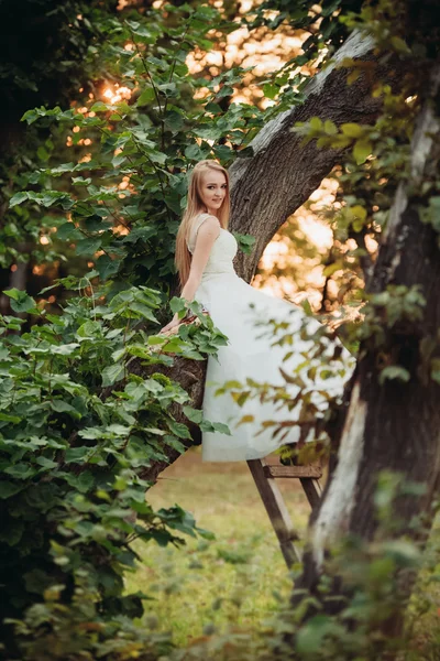 Блондинка романтичная нежная стильная красивая белая невеста сидит на дереве — стоковое фото