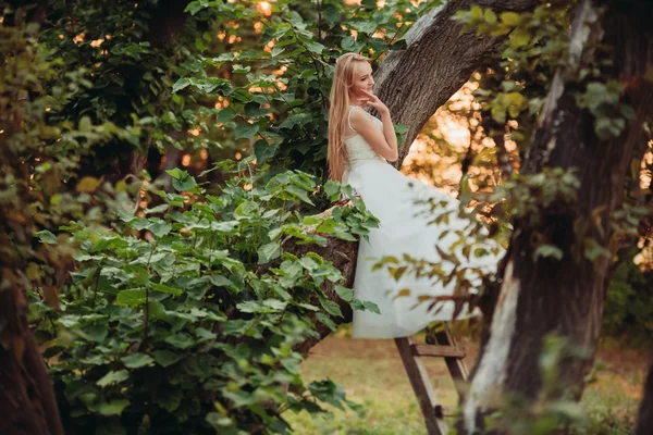 Blonde romantic gentle stylish beautiful caucasian bride sitting on tree — Stock Photo, Image