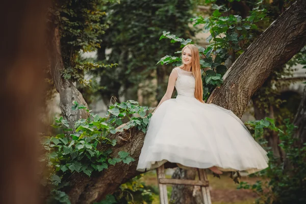 Blonde romantique doux élégant belle mariée caucasienne assis sur l'arbre — Photo