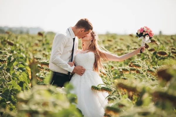 Düğün çift öpüşme ve ayçiçeği tarlasında poz — Stok fotoğraf