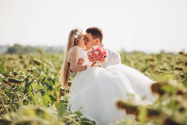 Casamento casal beijando e posando em um campo de girassóis — Fotografia de Stock