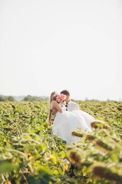 Bruiloft paar kussen en poseren in een veld met zonnebloemen — Stockfoto
