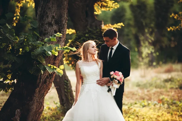 Schönes romantisches Hochzeitspaar, das sich im Park bei Sonnenuntergang umarmt — Stockfoto