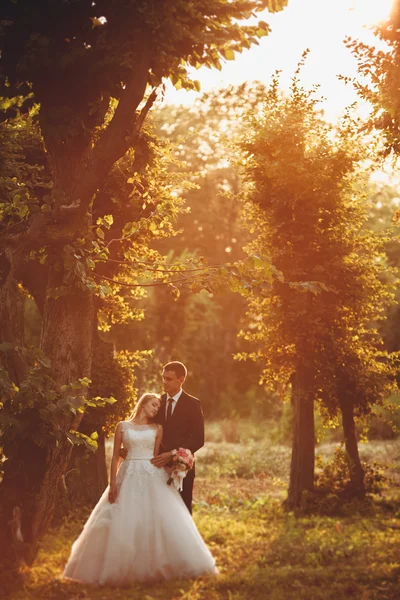 Hermosa pareja romántica de recién casados abrazándose en el parque en la puesta del sol —  Fotos de Stock