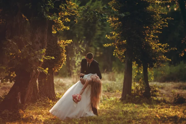 Piękny romantyczny ślub para nowożeńców przytulających się w parku na zachodzie słońca — Zdjęcie stockowe