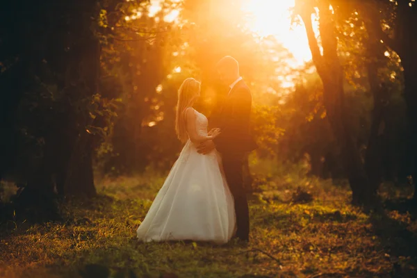 Hermosa pareja romántica de recién casados abrazándose en el parque en la puesta del sol — Foto de Stock