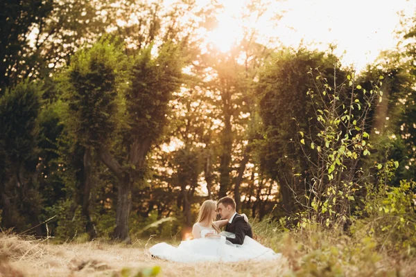 Krásný romantický svatební pár novomanželů objímání v parku při západu slunce — Stock fotografie
