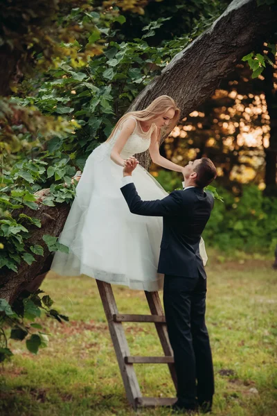 Schönes romantisches Hochzeitspaar, das sich im Park bei Sonnenuntergang umarmt — Stockfoto