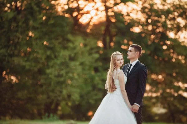 Schönes romantisches Hochzeitspaar, Bräutigam und Braut umarmen sich bei Sonnenuntergang in der Nähe des alten Schlosses — Stockfoto