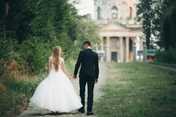 Schönes romantisches Hochzeitspaar, Bräutigam und Braut umarmen sich bei Sonnenuntergang in der Nähe des alten Schlosses — Stockfoto