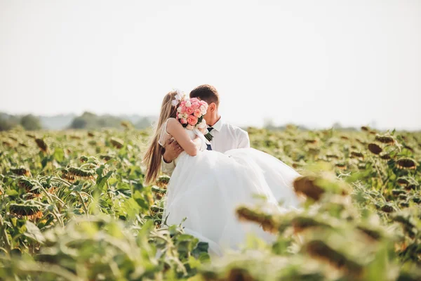 Casamento casal beijando e posando em um campo de girassóis — Fotografia de Stock