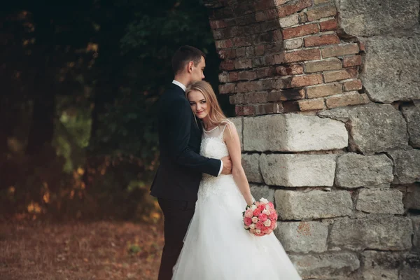 Güzel, romantik bir düğün. Yeni evliler. Eski kalenin yakınlarında sarılıyorlar. — Stok fotoğraf