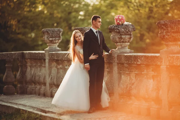日没の古城近くハグ新婚夫婦の美しいロマンチックな結婚式のカップル — ストック写真