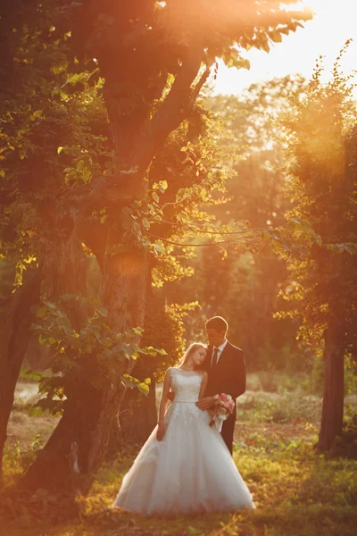 Hermosa pareja romántica de recién casados abrazándose en el parque en la puesta del sol —  Fotos de Stock