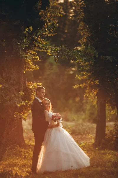 Güzel romantik bir çift yeni evliler gün batımında parkta sarılıyorlar.