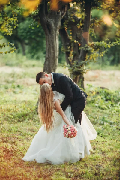 Mooi romantisch huwelijk paar van pasgetrouwden knuffelen in park op zonsondergang — Stockfoto