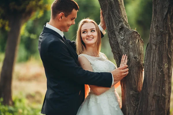 Güzel romantik bir çift yeni evliler gün batımında parkta sarılıyorlar. — Stok fotoğraf