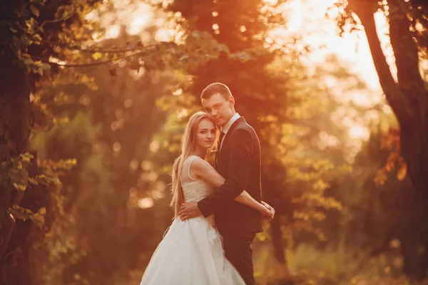 Bella coppia di sposi romantici che si abbracciano nel parco al tramonto — Foto Stock