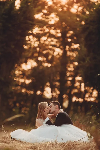 Όμορφος ρομαντικός γάμος ζευγάρι νεόνυμφων αγκαλιάζει στο πάρκο στο ηλιοβασίλεμα — Φωτογραφία Αρχείου