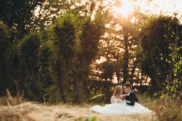 Bella coppia di sposi romantici che si abbracciano nel parco al tramonto — Foto Stock