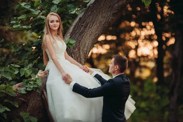 Pasangan pengantin baru yang romantis dan cantik berpelukan di taman saat matahari terbenam — Stok Foto