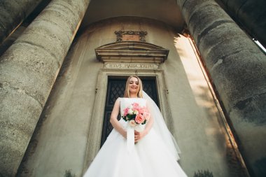 Muhteşem romantik zarif stil güzel beyaz gelin arka planda antik barok kalesinde