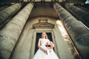 Muhteşem romantik zarif stil güzel beyaz gelin arka planda antik barok kalesinde