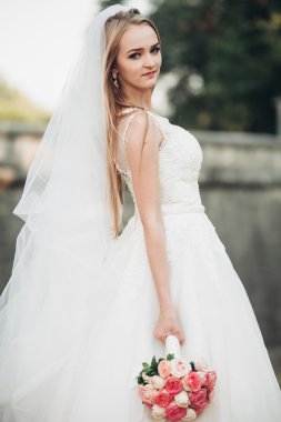 Muhteşem romantik zarif stil güzel beyaz gelin arka planda antik barok kalesinde