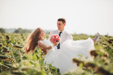 Düğün çift öpüşme ve ayçiçeği tarlasında poz