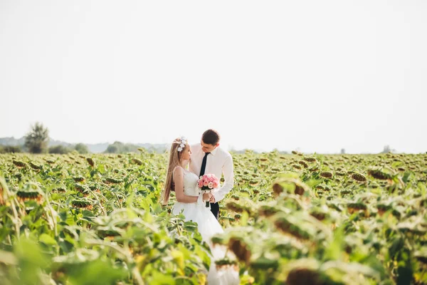 Ślub para całuje i pozowanie w polu słoneczników — Zdjęcie stockowe