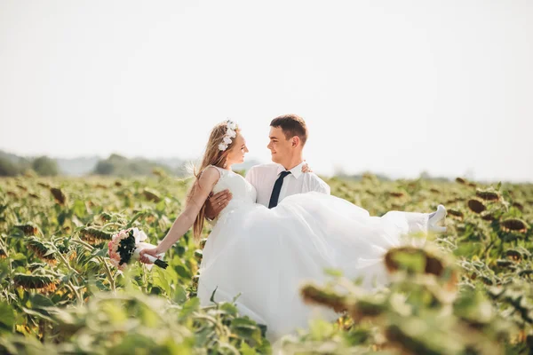 Pareja de boda besándose y posando en un campo de girasoles —  Fotos de Stock