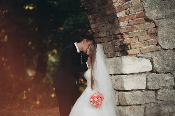 Bella coppia di sposi romantici che si abbracciano vicino al vecchio castello — Foto Stock