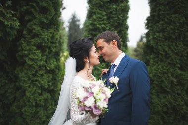 Botanik parkında yürüyen mutlu bir çift.