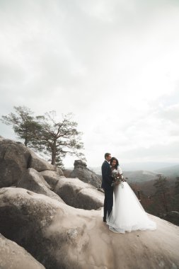 Muhteşem gelin, damat öpüşme ve sarılma Gösterim çarpıcı uçurum yakın: