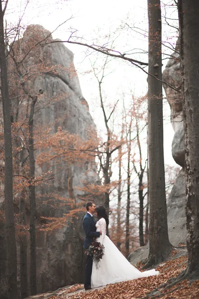 Hermosa pareja de boda besándose y abrazándose en el bosque con grandes rocas —  Fotos de Stock