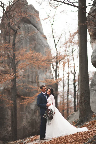 Чудова весільна пара цілується і обіймається в лісі з великими каменями — стокове фото