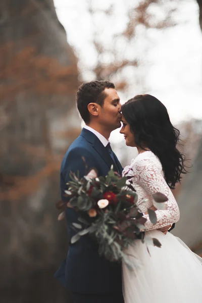 Wspaniały ślub para całowanie i przytulanie w lesie z duże skały — Zdjęcie stockowe