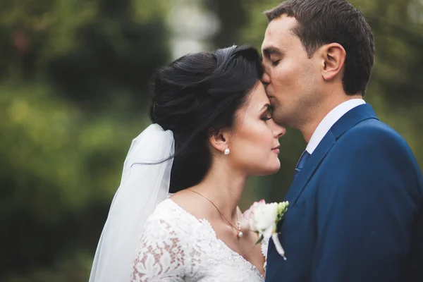 Joyeux couple de mariage marchant dans un parc botanique — Photo