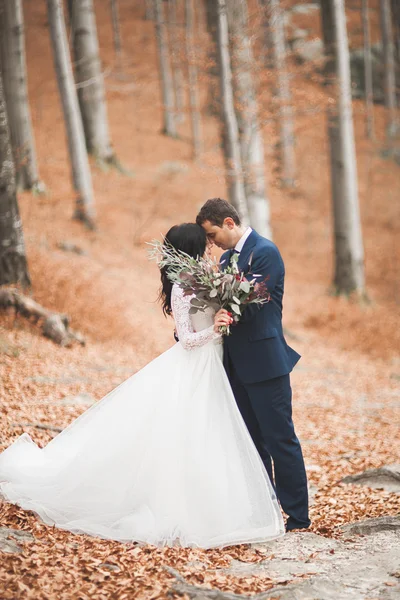 华丽的婚礼情侣接吻和拥抱在森林里的大石头 — 图库照片