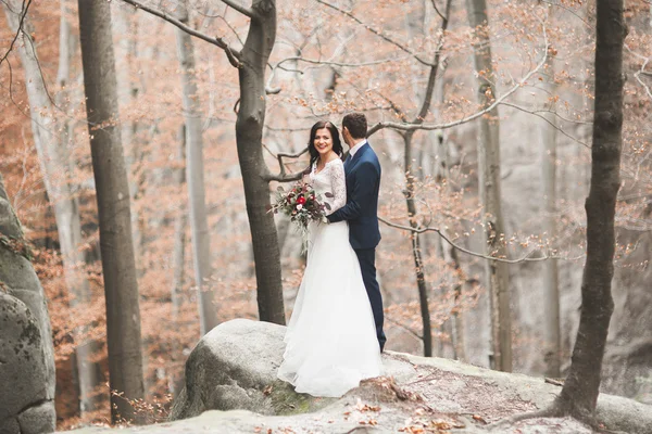 Gorgeous wedding couple kissing and hugging in forest with big rocks — Stock Photo, Image