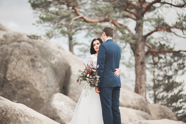 Gorgeous bride, groom kissing and hugging near the cliffs with stunning views — Stock Photo, Image