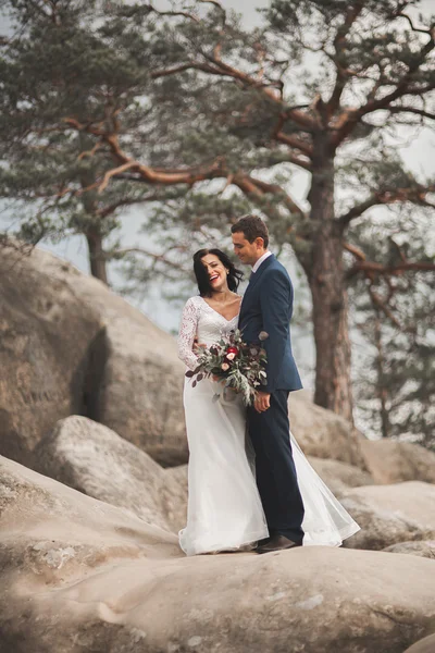 Gorgeous bride, groom kissing and hugging near the cliffs with stunning views — Stock Photo, Image