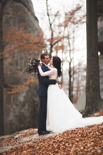 Hermosa pareja de boda besándose y abrazándose en el bosque con grandes rocas — Foto de Stock