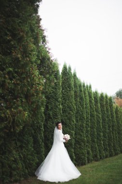 Zarif beyaz elbiseli güzel esmer gelin elinde buket ile güzel ağaçlar poz veriyor.