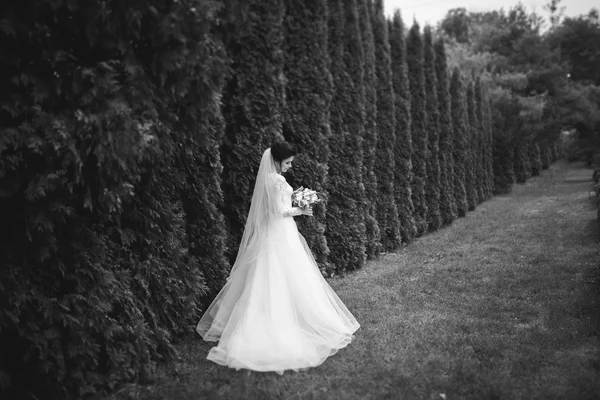 Indah berambut pirang pengantin dalam gaun putih elegan memegang karangan bunga berpose pohon rapi — Stok Foto
