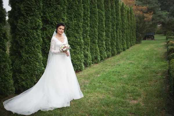 Hermosa novia morena en elegante vestido blanco sosteniendo ramo posando árboles limpios — Foto de Stock