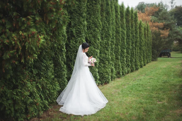 Hermosa novia morena en elegante vestido blanco sosteniendo ramo posando árboles limpios — Foto de Stock