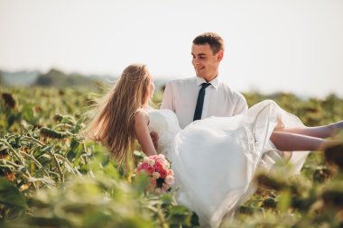 Düğün çift öpüşme ve ayçiçeği tarlasında poz